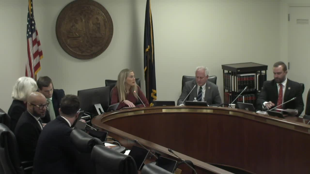 Public testimony pushes for attorney-only guardians, fee caps and stricter rules after subcommittee opens hearing on guardian ad litem bills