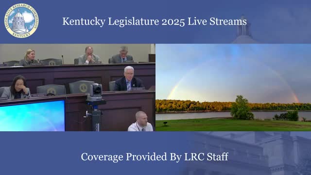 Senator questions policies for child welfare amid ongoing crisis