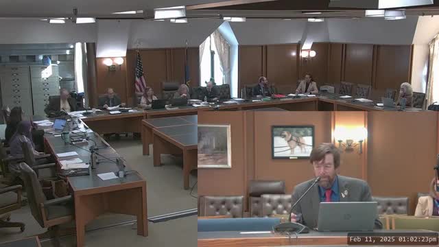 Representative Wheeler joins afternoon hearing despite travel delays