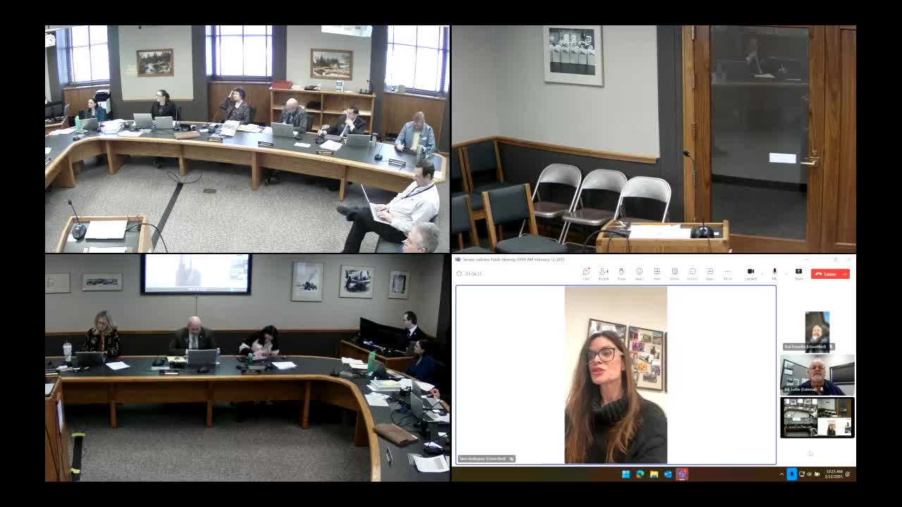 Senate committee advances resolution declaring explicit content a public health crisis