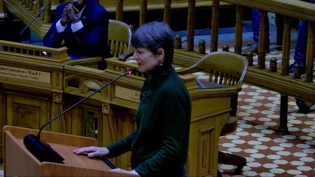 Providence Council debates gas powered leaf blower ban amid strong opposition from landscapers