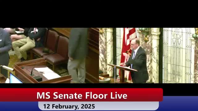 Senate passes joint custody bill supporting equal parenting time for fathers