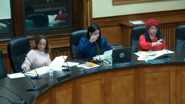 Personnel committee tables confirmation of Pamela Gonel pending written ethics opinion