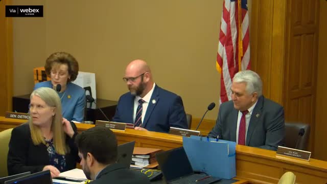 Committee approves amendment to extend Star Bonds sunset, debates expanding program to redevelop vacant malls and transparency reforms