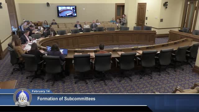 Minnesota Senate rules committee forms subcommittees, approves appointments to state commissions