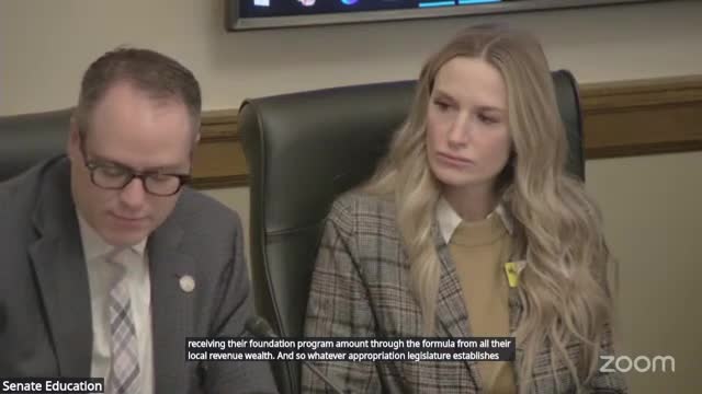 Senate Education panel creates select committee to recalibrate school finance model, removes charter-study language