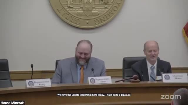 Committee approves emergency bridge-loan program for small businesses after disasters