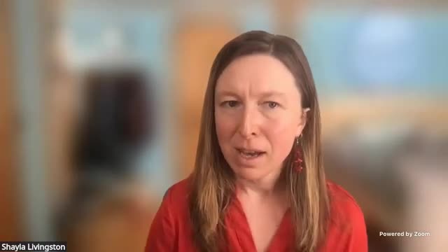 Vermont advocate highlights need for freestanding birth centers in Williston testimony