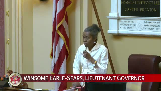 Virginia Senate advances broad slate of bills on guns, elections and local policy in Friday session