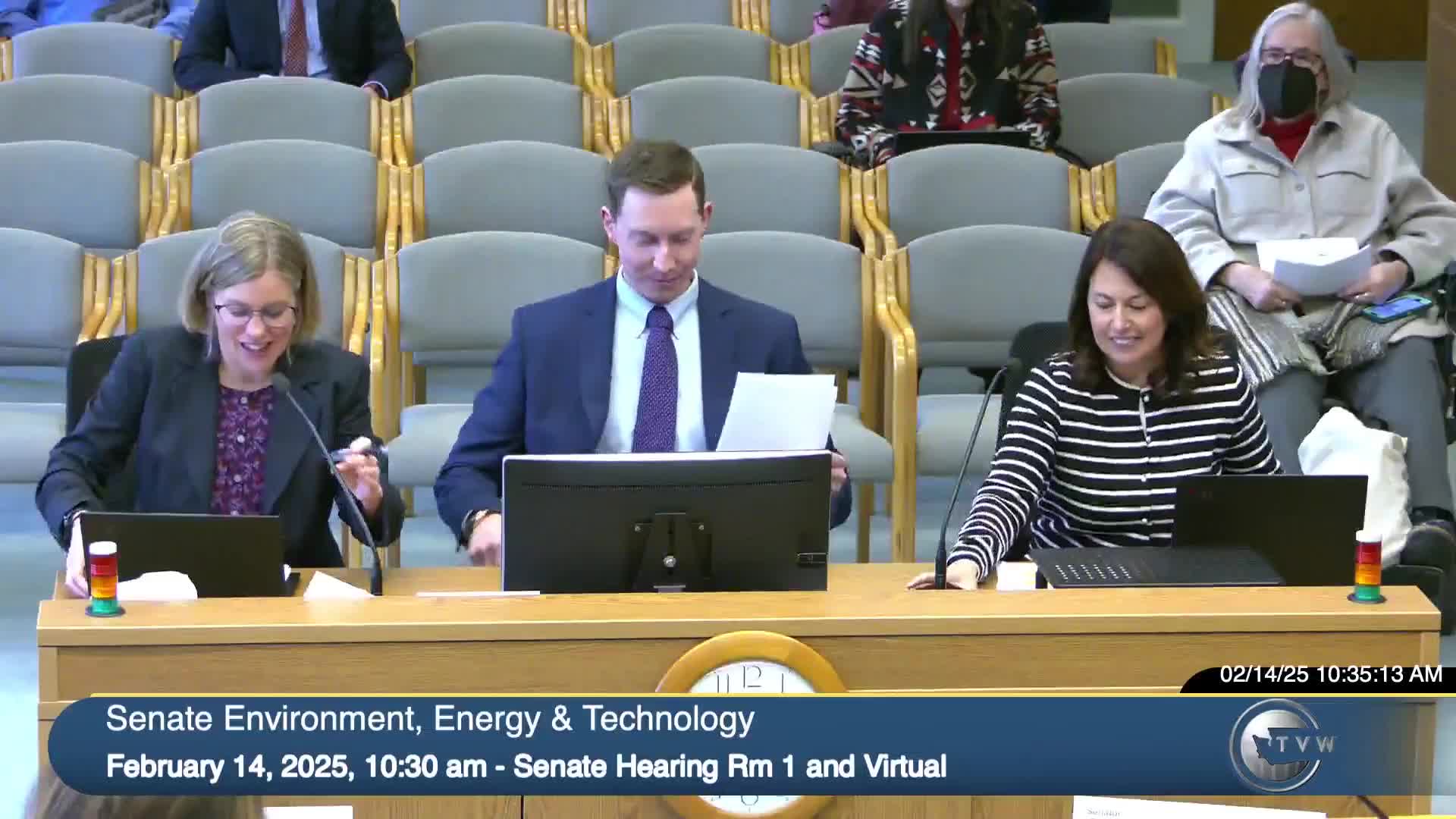 Senate Environment, Energy & Technology Committee adopts substitutes, forwards bills to rules and appropriations panels