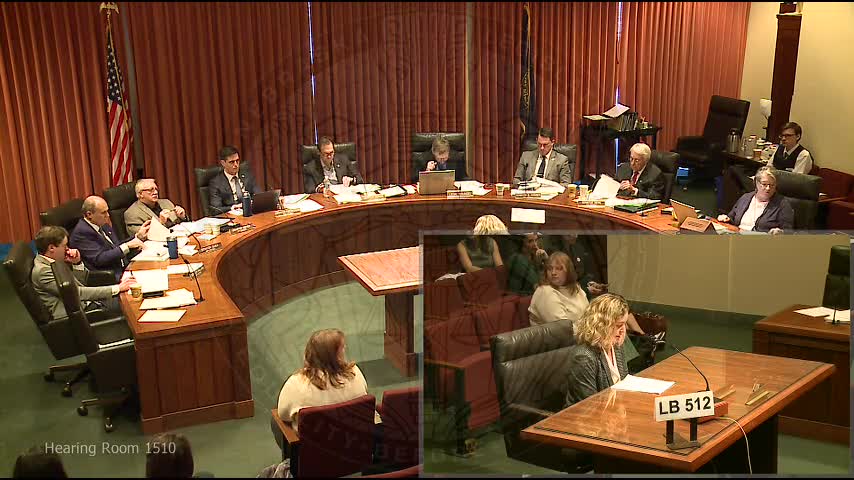 Nebraska physicians oppose LB 512 citing risks to abortion access and patient care