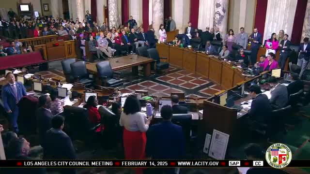 Council approves largest-ever local investment in domestic violence services; restraining-order task force authorized