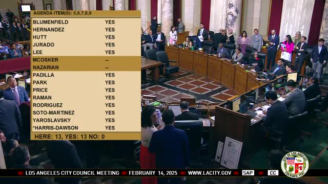 Council approves largest-ever city investment in domestic-violence survivor services, 13–0