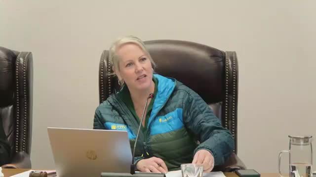 Developer previews 125-room hotel proposal at 400 West Branch; council and residents raise traffic, water and design questions