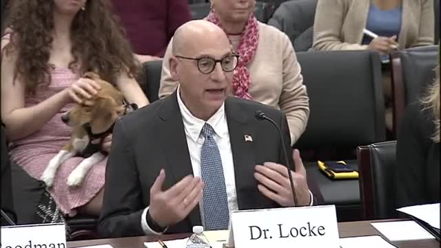 Lawmakers critique $20B wasted on animal testing including transgender research funding
