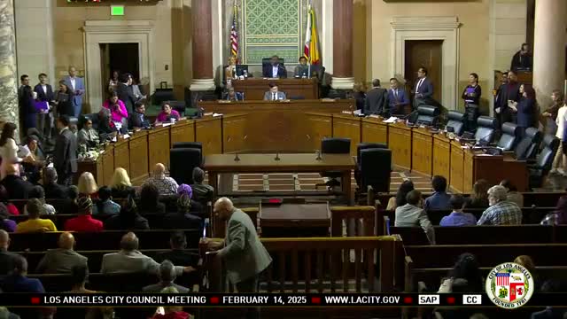 Los Angeles Council approves historic funding for domestic violence survivor services