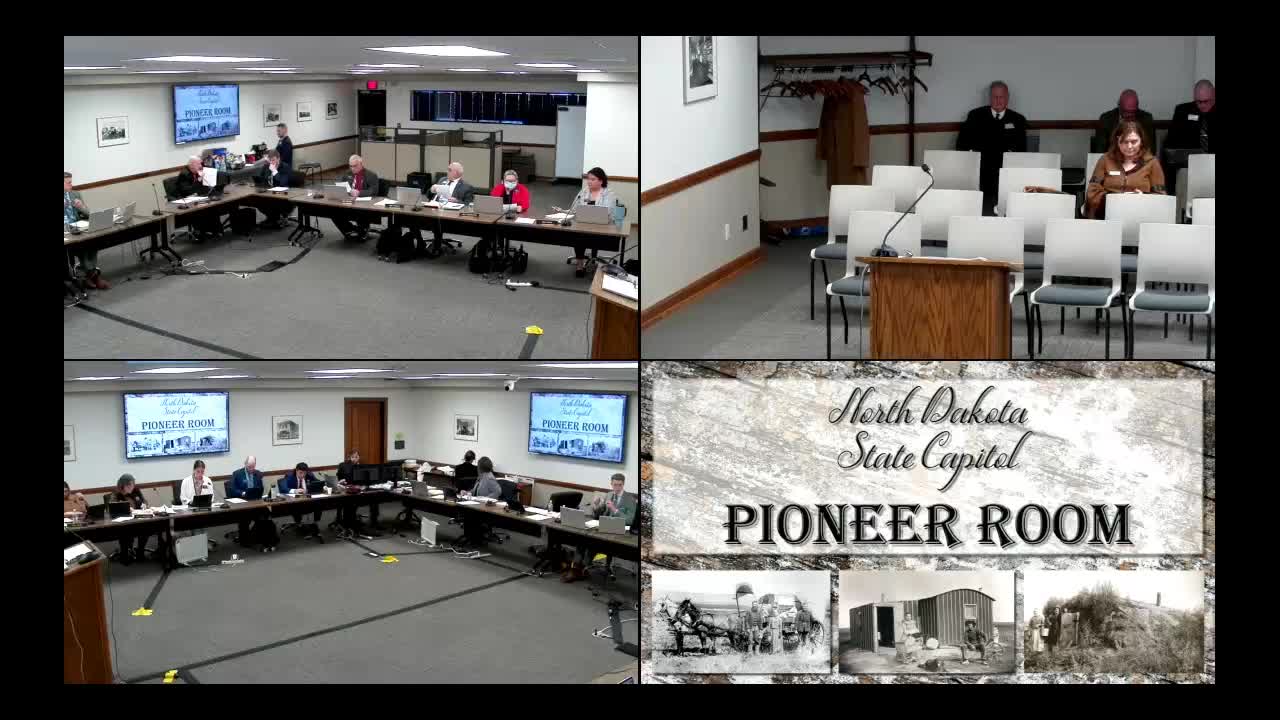 Committee adopts amendments to bill on so‑called conversion therapy; debate centers on social‑work ethics