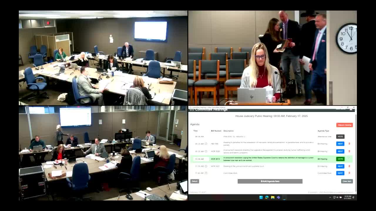 Committee hears constitutional amendment resolution on judicial immunity and nominating appointments