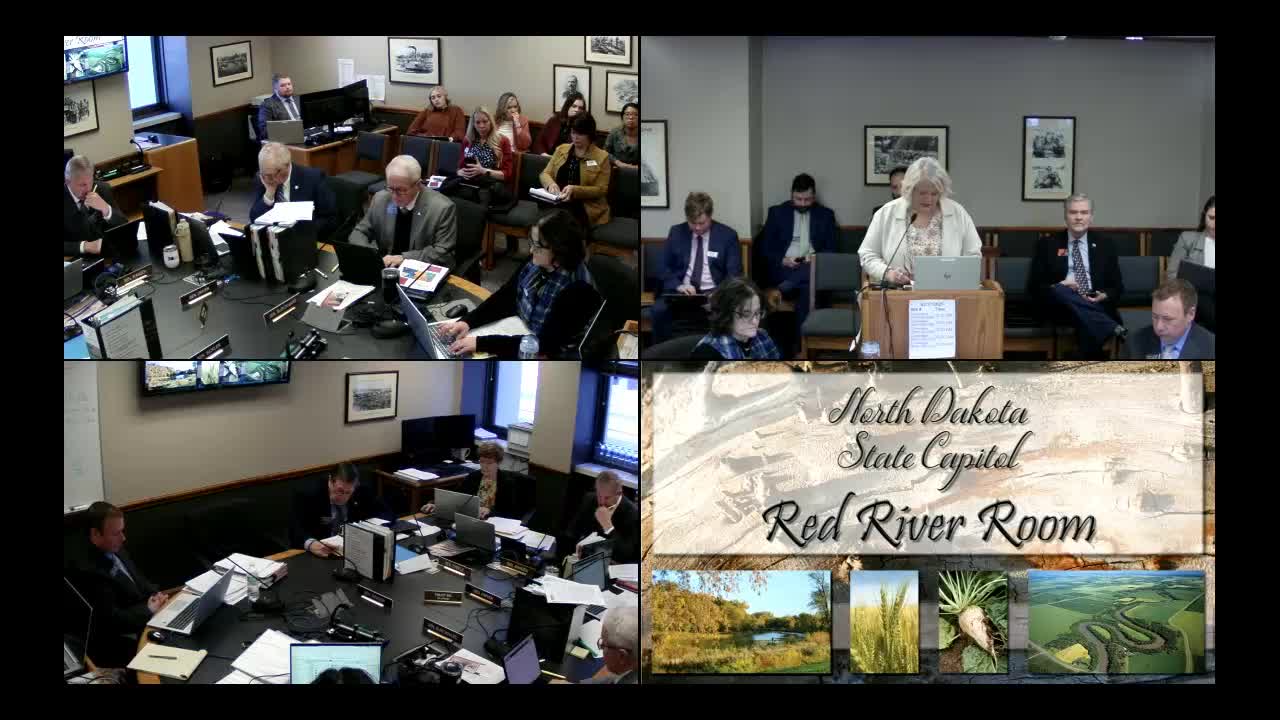 Committee Hears Proposal for Rural Catalyst Grants to Help Small‑town Projects and Regional Councils