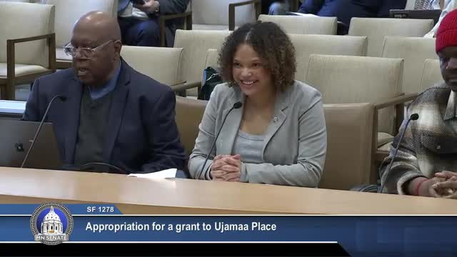 Sen. Umu Verbatim asks committee to fund Ujamaa Place workforce services