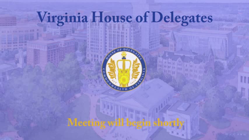 Virginia Senate committee reviews judicial selection and election consolidation resolutions