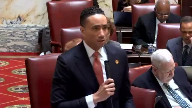 Senate debates gun‑buyback rules; layover adopted after questions about destruction and training