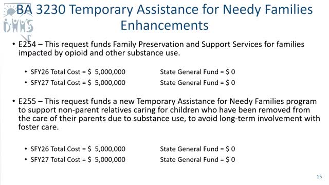 Division proposes using opioid‑settlement funds for family preservation and expanded kinship care grants