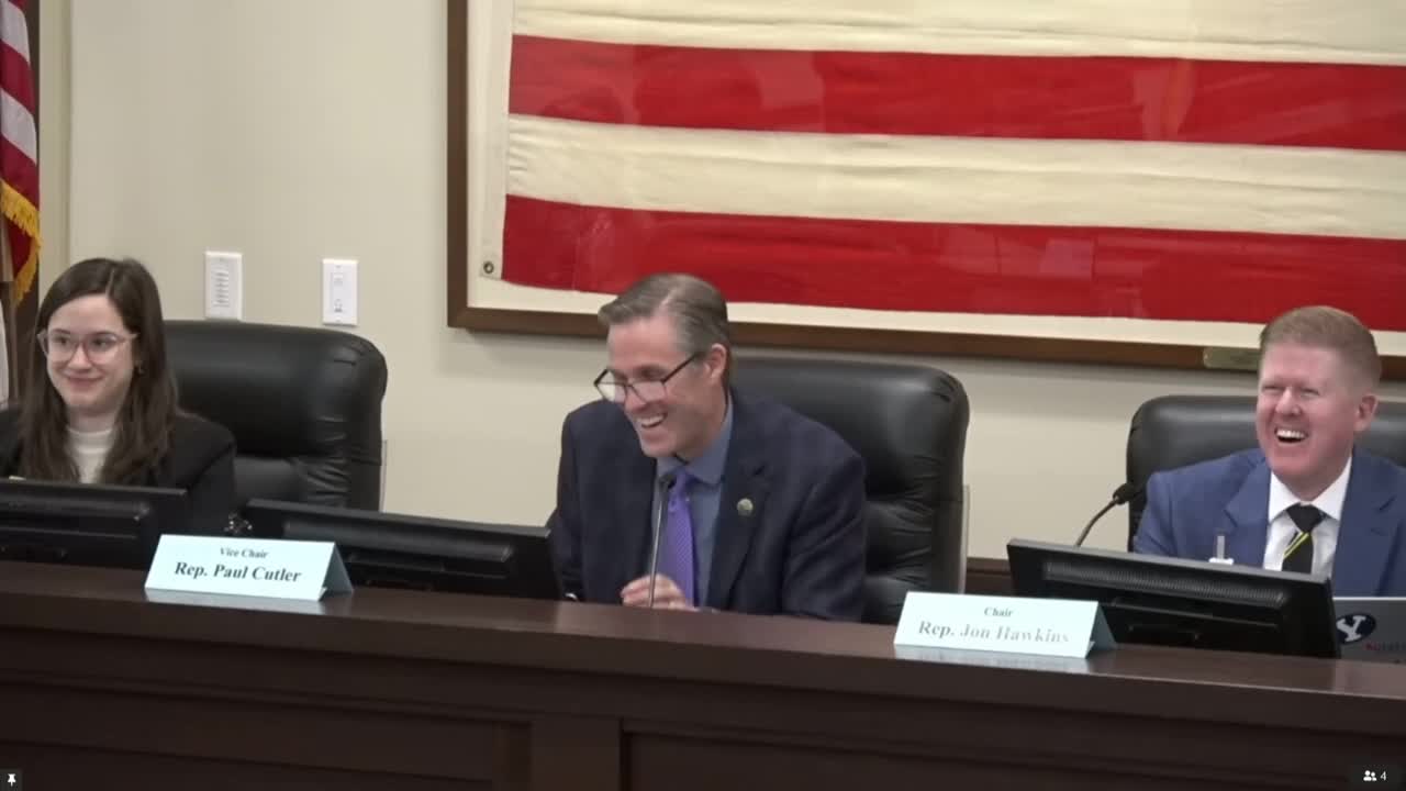 Committee unanimously backs resolution encouraging childhood independence in planning and schools