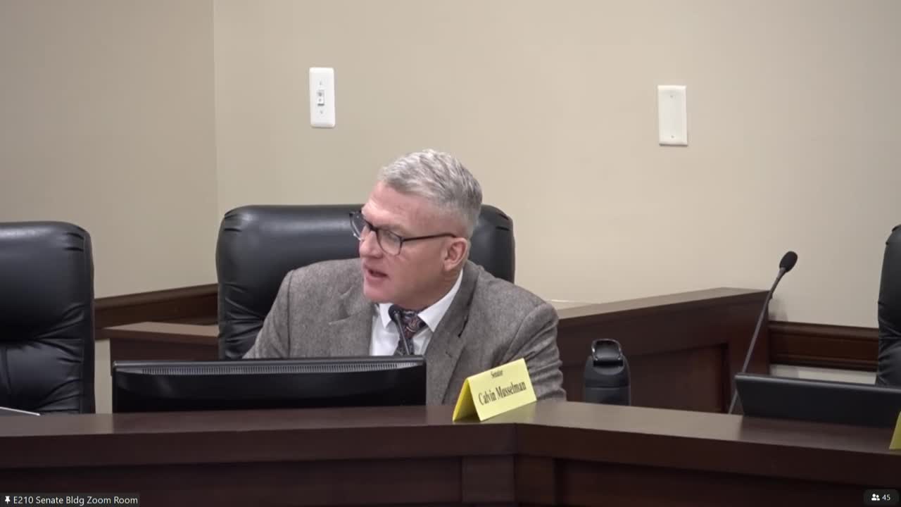 Senate committee proposes mandatory jail sentences for repeat offenders tied to organized crime