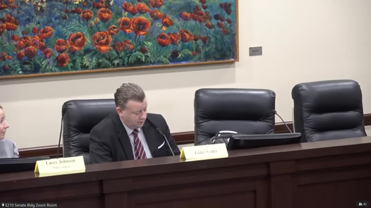 Senate committee backs mandatory-jail substitute for repeat criminal reentry bill after public debate