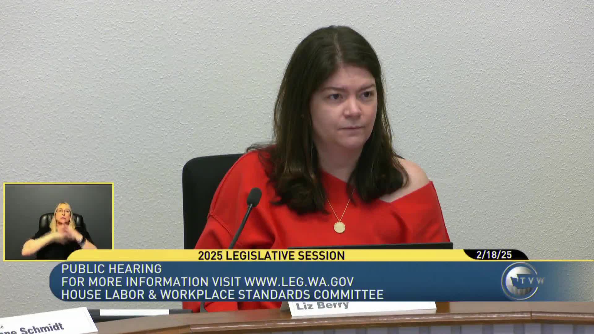 Domestic Workers Bill of Rights draws testimony calling for statewide protections