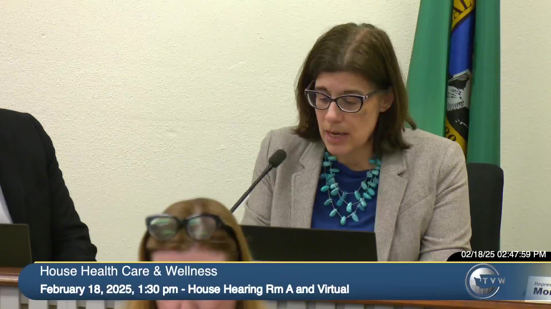 Committee holds public hearing on HB 19 71 to allow 12-month refills for hormone therapy; advocates cite access, OPPs and some clinical questions remain