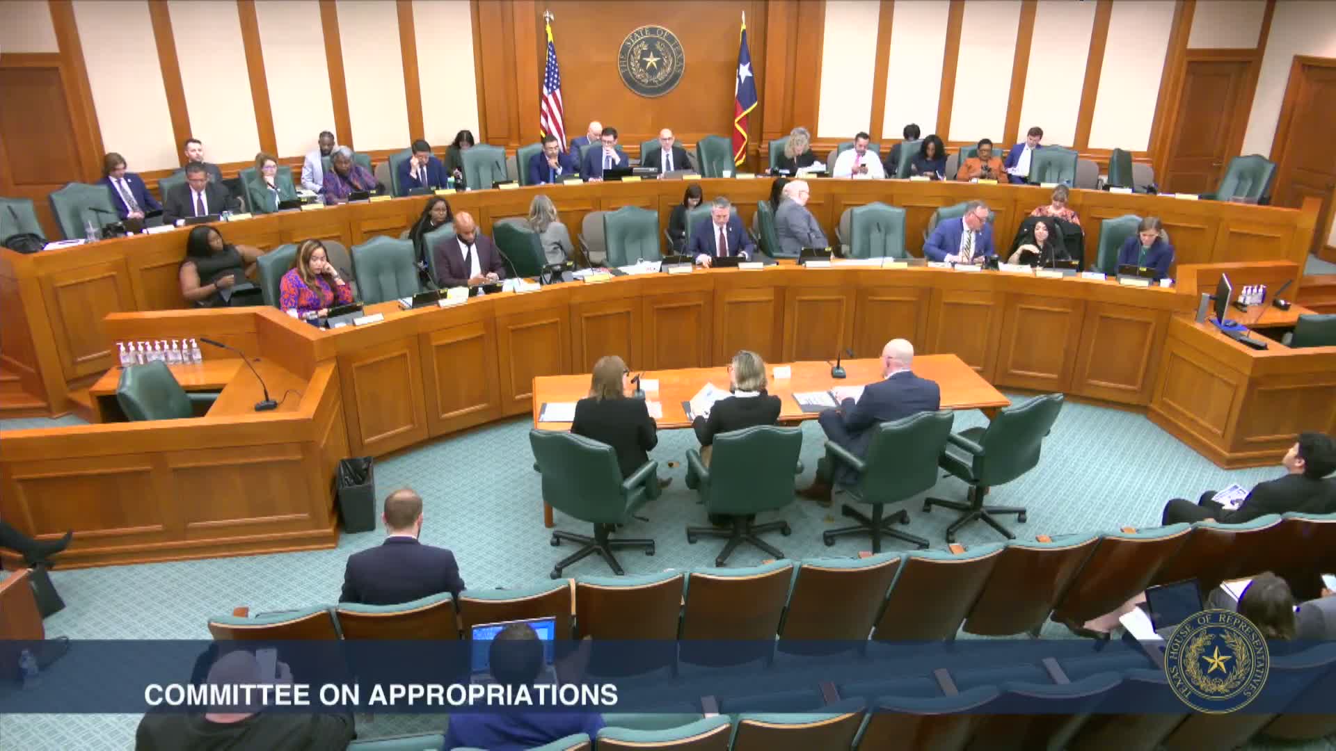 HHSC briefed committee on Medicaid program, HB12 postpartum extension and program drivers