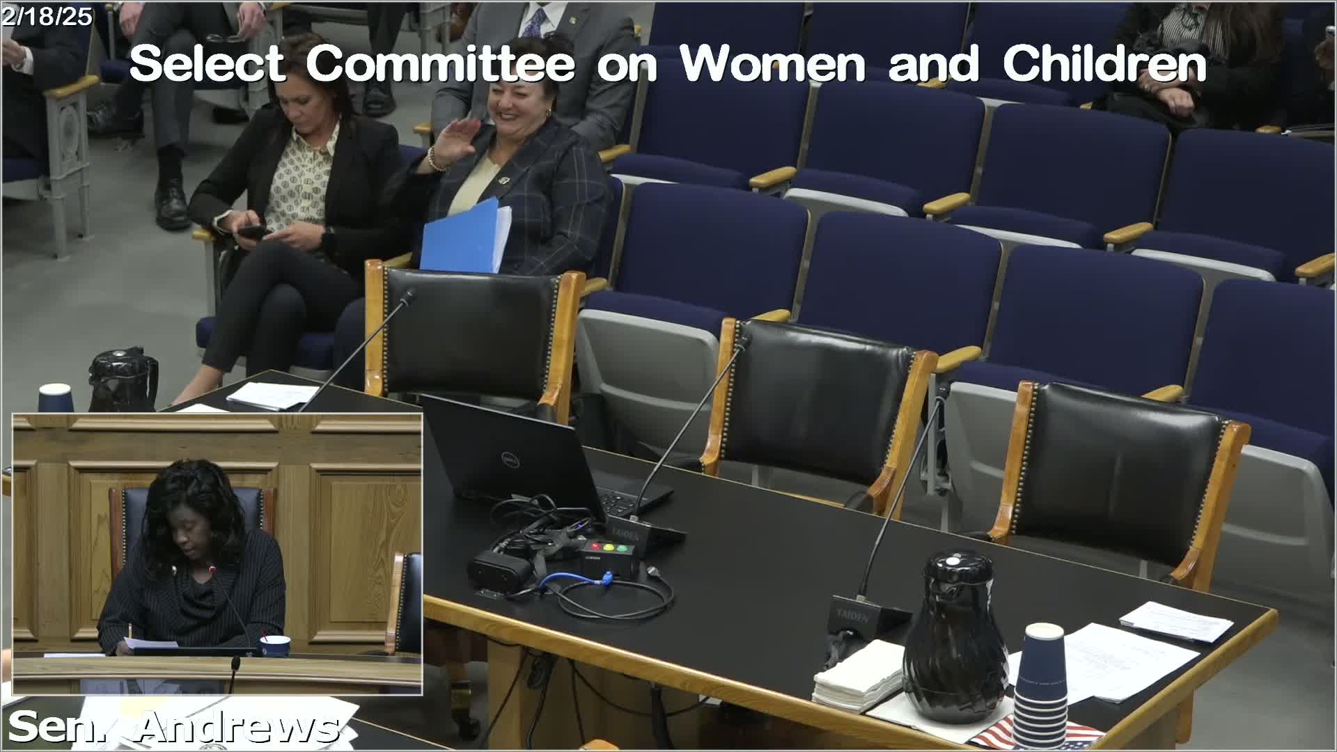 Captain Murphy addresses child abuse investigation protocols at Louisiana Senate committee meeting