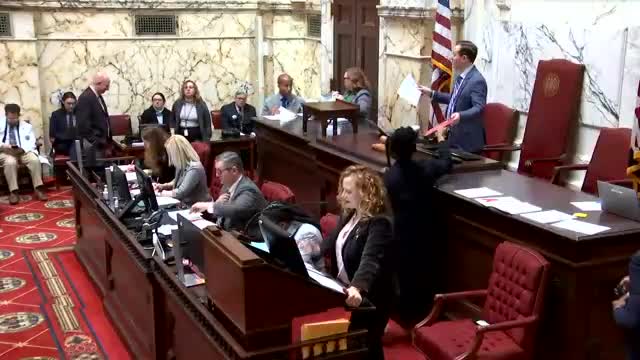 Senate adopts cosponsor amendment to police accountability bill SB533; amendment printed for third reading