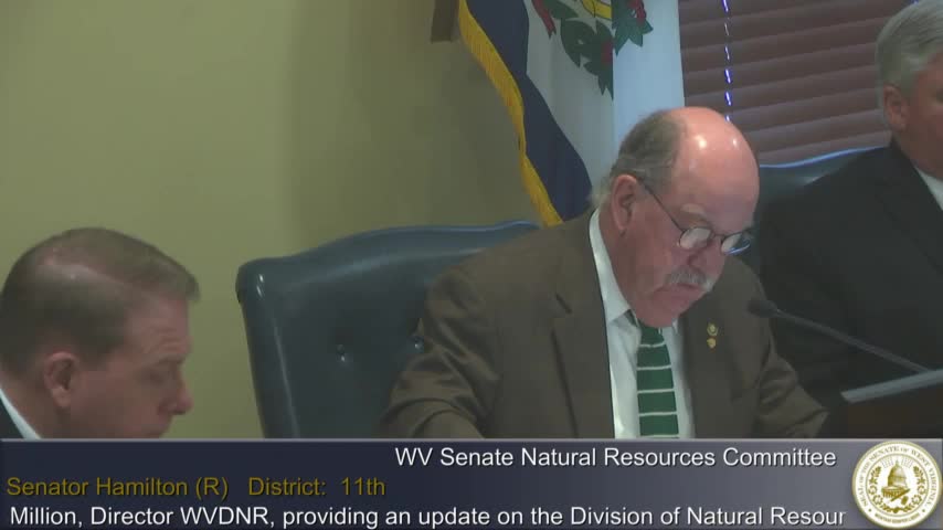 DNR director outlines park finances, endowment and major capital work; says Summersville near opening