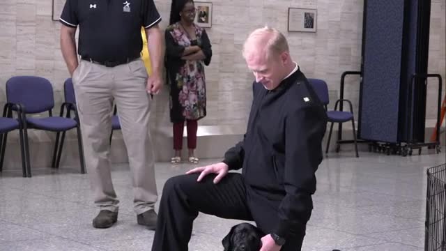 Warrior Canine Connection showcases puppy cam for year-round puppy viewing