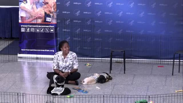 Rear Admiral Hale promotes mental health awareness and coping strategies with puppies