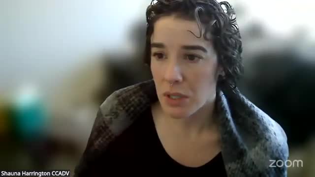 Subcommittee seeks outside expert to improve firearm-surrender compliance in domestic-violence cases