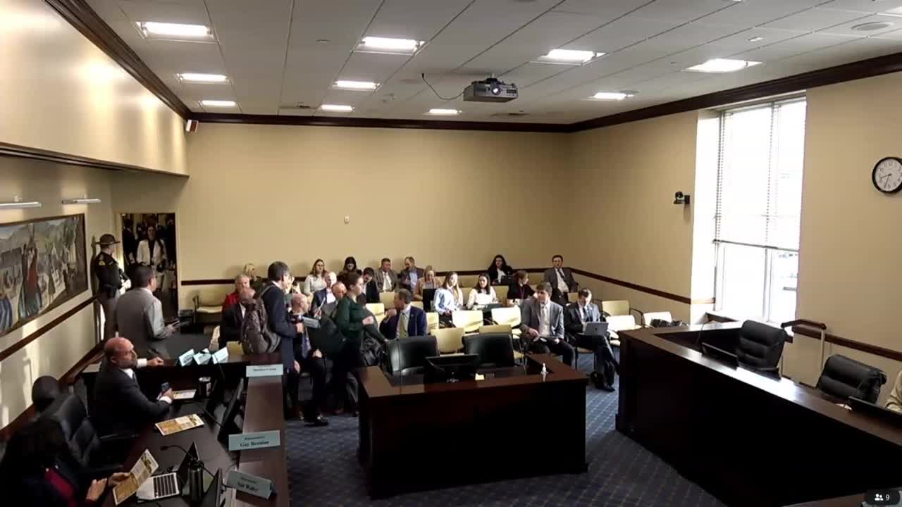 House panel backs municipal utility lien rules, adds counties to greenhouse code and advances county governance changes