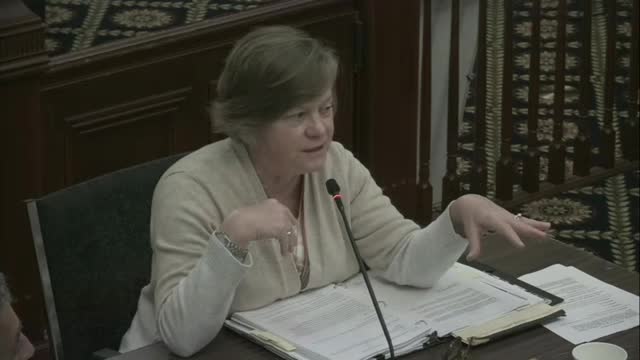 St. Augustine planners push interim "do no harm" rules on fill and flood risk; workshops, draft code due this spring