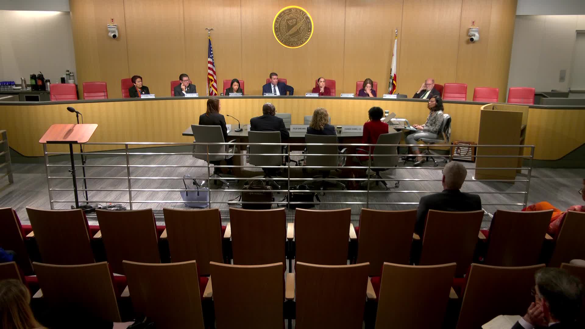Commissioners Discuss Victim Privacy and Elder Parole Law Concerns