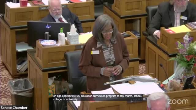 Wyoming Senate debates controversial child protection bill amidst legal concerns