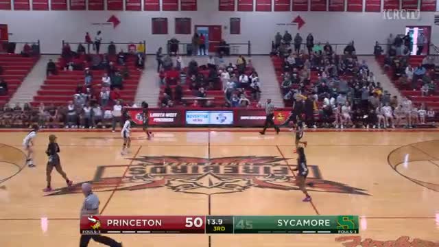 Sycamore aviators challenge Princeton in nail-biting tournament quarterfinal