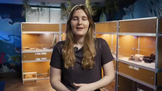 Discovery Center manager says reading enhances children’s experience in “Kenya’s Kids” exhibit