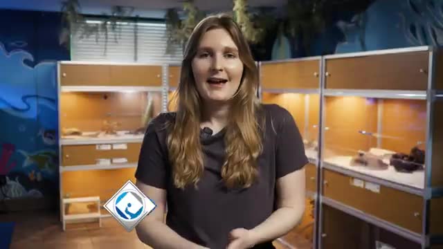 Chandler Reeder highlights reading's role in enhancing Discovery Center's Kenya exhibit