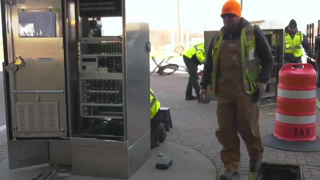 Echo the Cat, three-legged senior, featured as Plano's pet of the week