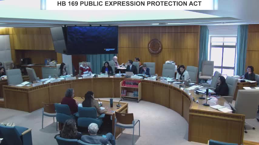Committee hears Uniform Public Expression Protection Act substitute; supporters urge protections against SLAPP suits