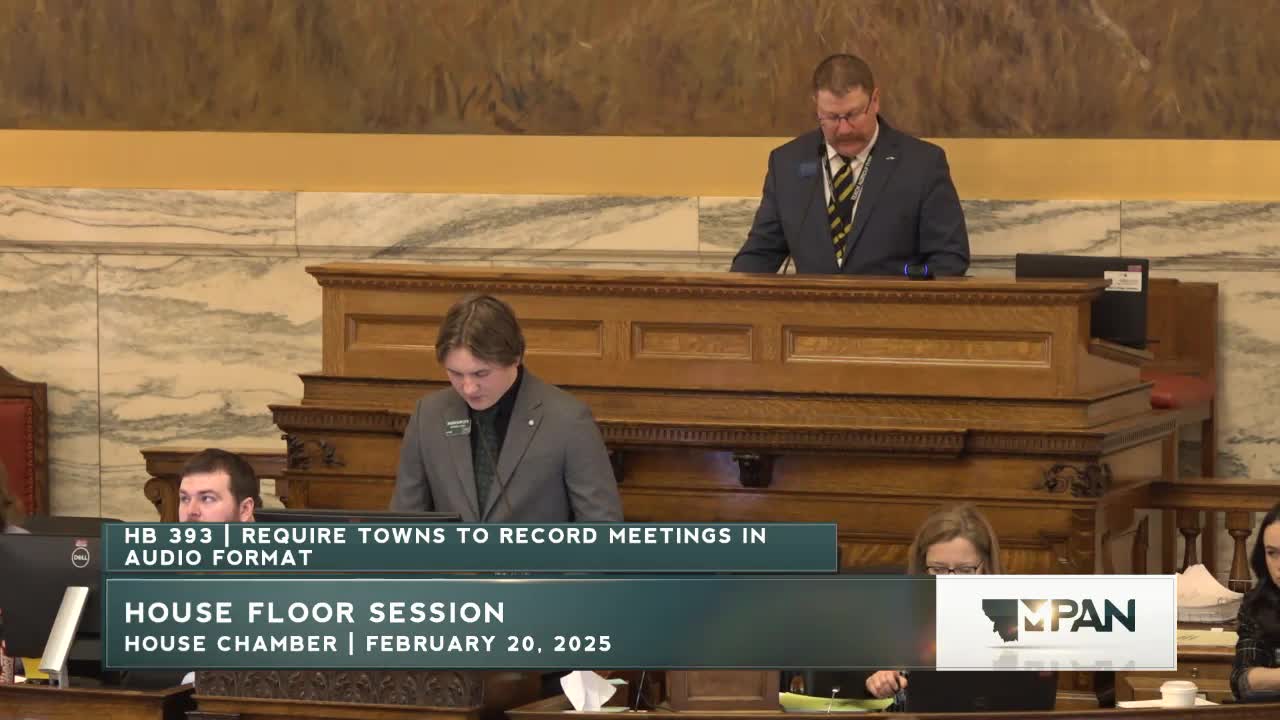 Montana House passes bill clarifying voting rights for individuals deemed unsound mind