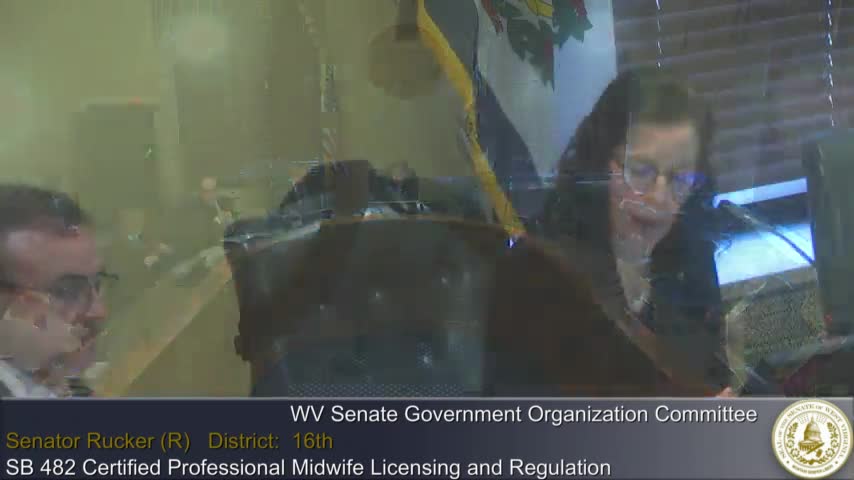 Committee exempts certain energy‑work modalities from massage‑therapy licensure in committee substitute for SB 496